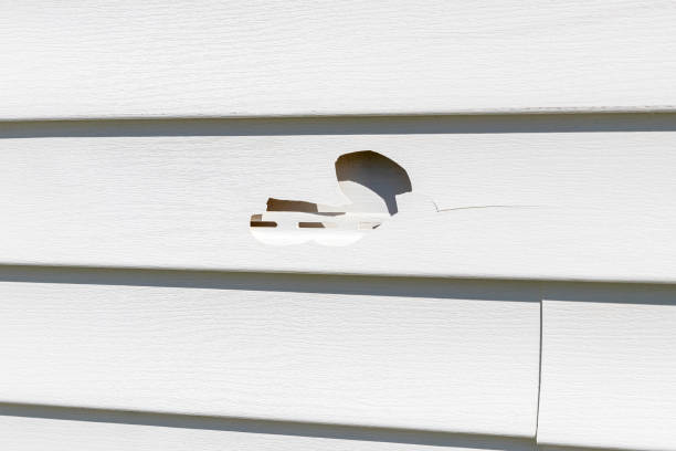 Affordable Siding Repair and Maintenance Services in Troy, IL